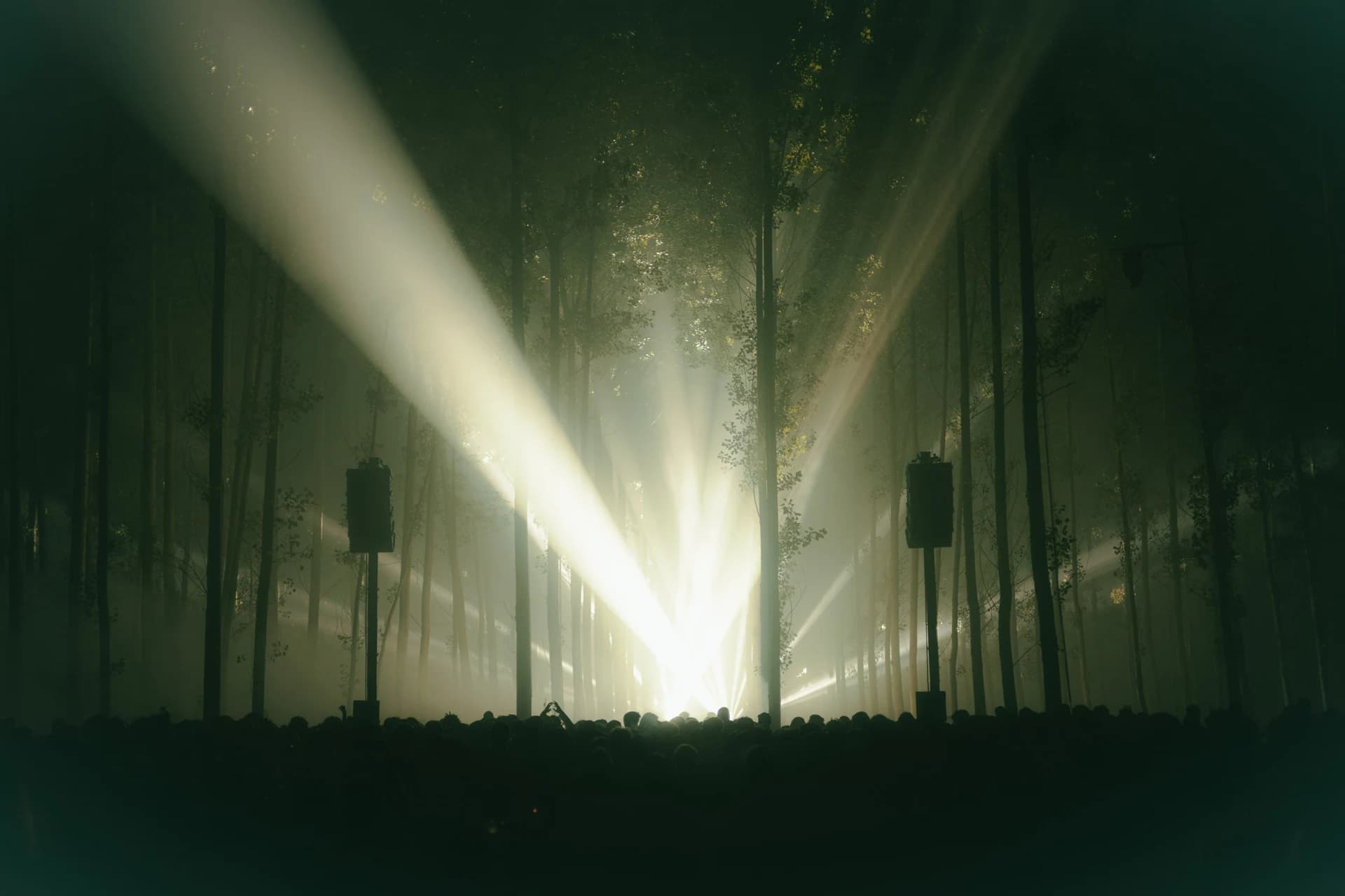 Haces de luz blanca en el escenario de Rizomes.